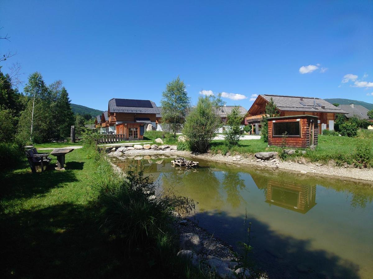 Apartment Samspitze Mariapfarr Zewnętrze zdjęcie